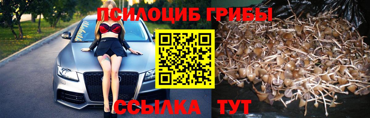Магадан  Галлюциногенные грибы Psilocybe  Галлюциногенные грибы Psilocybine cubensis  Вход с VPN 