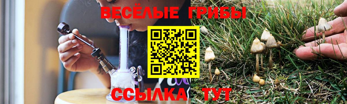 Галлюциногенные грибы ЛСД Магадан